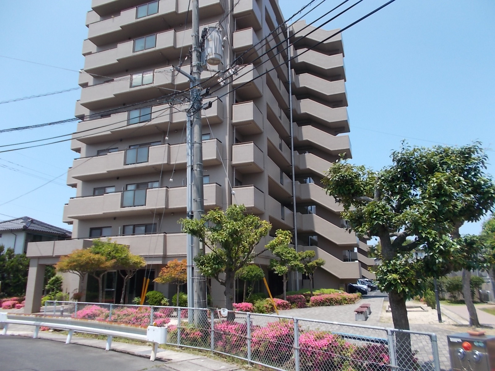 サムネイル画像